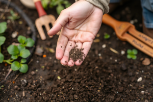 Блог — Классификация грунтов: виды, характеристики и области применения — фото