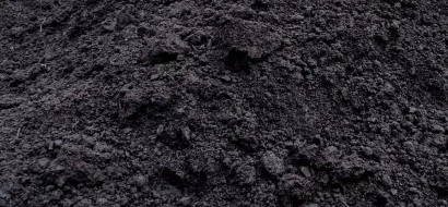 Фото Торф верховой 3-3,5pH (кислый)