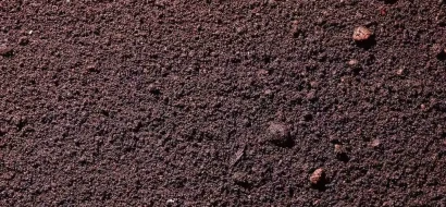 Фото Растительный грунт россыпью