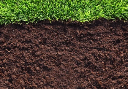 Плодородный грунт навалом — фото-579_1