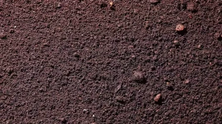 Растительный грунт россыпью — фото-579_1